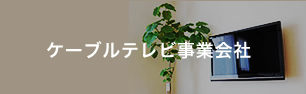 ケーブルテレビ事業会社