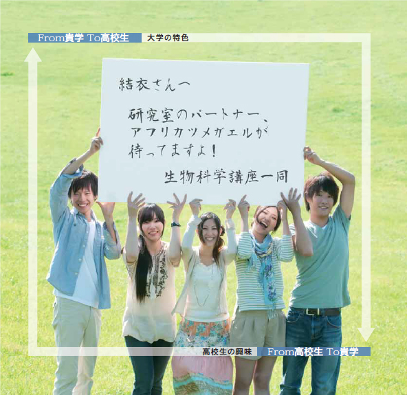 「From To」